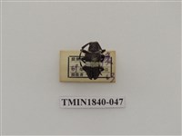 藏品(菲律賓產昆蟲)的圖片